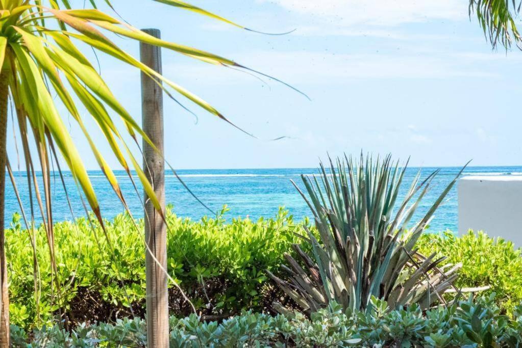 Апартаменты Pasha - Ocean View Сент-Анн Экстерьер фото